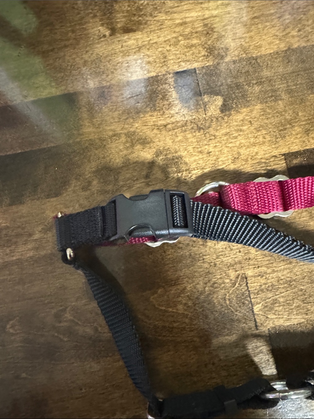 Wonder Walker Two-Tone Dog Harness in Burgundy & Black - Picture 3 of 5
